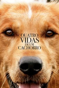 11-poster-quatro-vidas-de-um-cachorro[1]