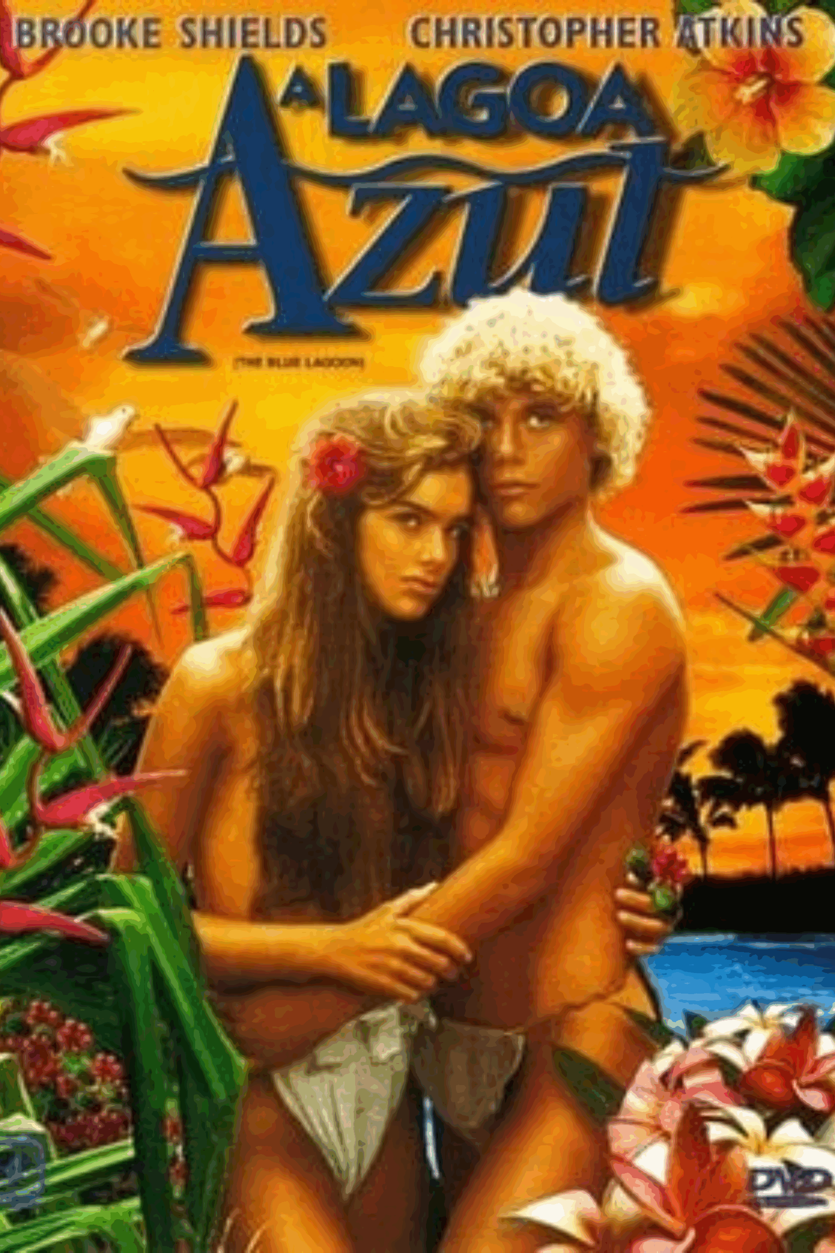 Poster Artigo de Nota